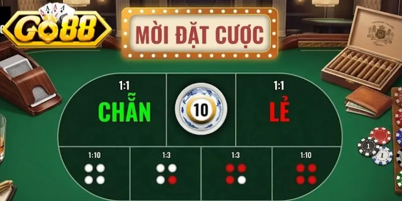 Theo dõi người xóc mới để tránh bị gãy nhịp