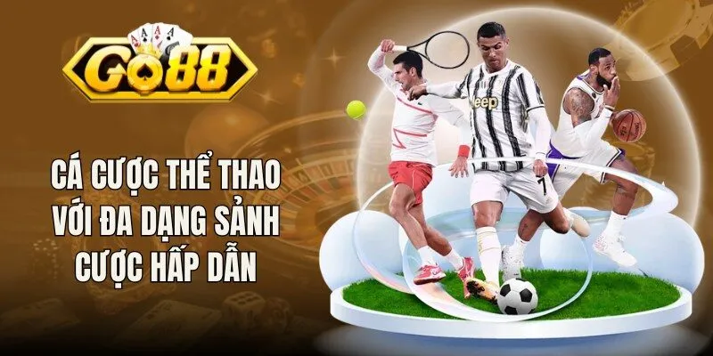 Cá cược thể thao với đa dạng sảnh cược hấp dẫn